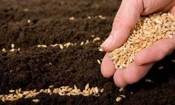 Sertifikalı Tohum Alan Çiftçilere Önemli Duyuru