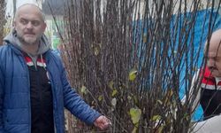 Bayi ve Fidan Denetimlerimiz Aralıksız Devam Ediyor