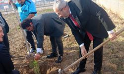 Okul Bahçesini Fidanlarla Süslediler