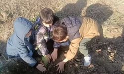 Minikler İskilip’te Fidanları Toprakla Buluşturdu