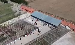 Minikler Doğa ve Hayvan Sevgisini Yerinde Öğrendi