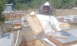 Çorum'da Arıcılık Kursu Başlıyor