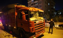 Komşuda Kahraman Kamyon Şoförü, Hamlesiyle Facianın Önüne Geçti