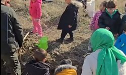 İskilip’te Minikler Fidanları Toprakla Buluşturdu