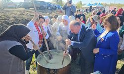 Çorum'da Safran Hasat Şenliği Yapıldı