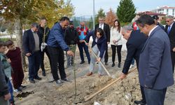 Dodurga'da 60 Meyve Fidanı Toprakla Buluşturuldu