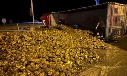 Otomobil ile Pancar Yüklü Tır Çarpıştı: 3 Yaralı