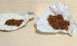 Yol Kontrolünde Uyuşturucu Yakalandı: 1 Tutuklama