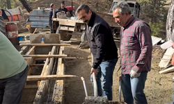 Doğadaki Canlar İçin Bir Ceşme Daha