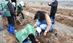 Haydi Çorum Fidan Sahiplenmeye