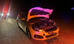 Danaya Çarpan Otomobilde Ölümden Döndüler