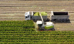 Çiftçiler Dikkat! 306,5 Milyonluk Destek Hesaplara Yattı