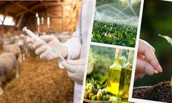 712 Milyonluk Dev Destek Hesaplara Yattı