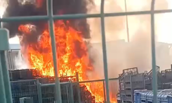 Halde Korkudan Yangın