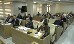 Meclisin Kararını Yürürlüğe Koymayan İl Özel İdareye Soruşturma