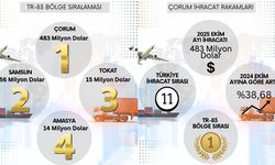 Çorum İhracatta Ülkede 11, Bölgede 1. Sırada