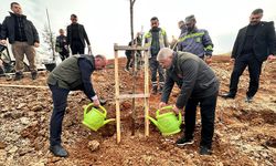 Nadık Şehir Ormanı’nda İlk Ağaçlar Toprakla Buluştu