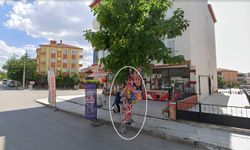 Belediyeden Ağaca Zarar Veren Esnafa Ceza