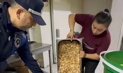 Zabıta Hazır Gıdaya Yönelik Denetimlerini Sürdürüyor