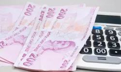 Vergi, Harç, SGK Primleri Ve Cezalarda Uygulanan Gecikme Zammına İndirim