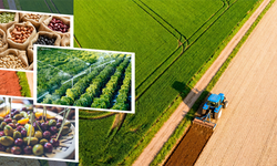 332 Milyonluk Tarımsal Destek Hesaplara Yattı