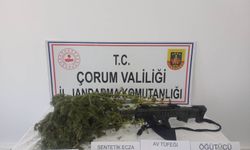 Zehir Ticaretine Darbe