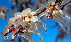 Çiftçiler Hesaplarınızı Kontrol Edin! Milyonluk Ödeme Yatırıldı