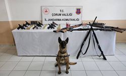 Düğün Magandalarından Cephanelik Çıktı