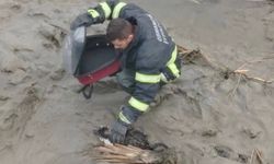 Kızılırmak’a Düşerek Yardım Çığlığı Atan Kedi, Kurtarıldı