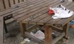 Okul Bahçesinde Şok Eden Görüntü!