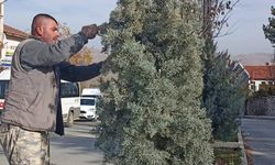 Mecitözü Belediyesi İlçeyi Kışa Hazırlıyor