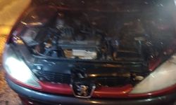 Park Halindeki Otomobil Alev Aldı