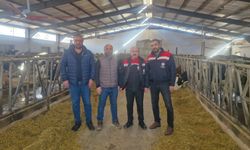 Ari İşletme Denetimleri Devam Ediyor