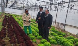 Laçin’de TKDK Destekli Modern Sera Ziyareti
