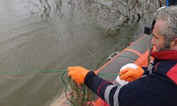 Doğa Katillerine Fırsat Verilmedi