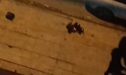 Mahalleli Bu Görüntüden Tedirgin Oldu