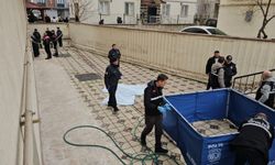 8. Kattan Düşen Talihsiz Adam Hayatını Kaybetti