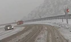 Uyarılara Aldırmadılar, Yolda Kaldılar