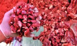 Fiyatlar Raflarda Rekor Kırıyor! Yetkililer Uyuyor! Vatandaş Bakıyor!