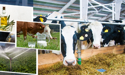 Çiftçilere 2 Milyarlık Dev Destek!