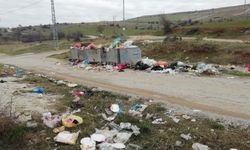 Bu Çevre Katliamının Sorumlusu Kim?