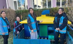 Kedilere Sıcak Yuva