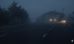 Laçin'de sis etkili oldu