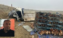 Tavuk Yüklü Kamyonetin Sürücüsü Kazada Can Verdi