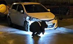 Otomobile Pompalı Saldırı!