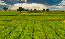 156 Yerel Eylem Grubu Derneği, 2,2 Milyarlık Yüzde 100 Hibe Alacak