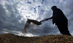 Çiftçilere Müjde! 1.7 Milyarlık Destek Hesaplara Yattı