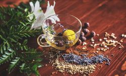 Bitkisel İlaçlar Sıkı Denetime Tabi Tutulacak!