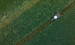 Milyarlık Destek Hesaplara Yatıyor