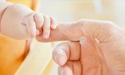 TUİK Başkan Yardımcısı Metin; “Seferberlik İlan Edilmeli”